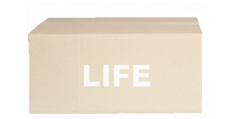 無料宅配キットMサイズ 画像