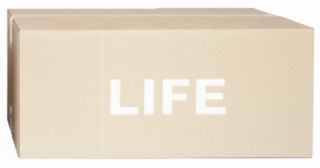 無料宅配キットLサイズ 画像